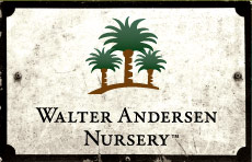 Walter Andersen Nursery San Go S Independent Since 1928
