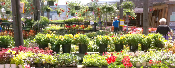 Walter Andersen Nursery San Go S Independent Since 1928 Walter Andersen Nursery San Go