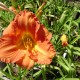 Summer Newsletter Now Available!