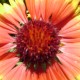 Spring Newsletter now available!