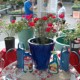 2011 Class Lists Now Posted on Our Calendar