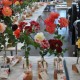 12th Annual Rose Show Results