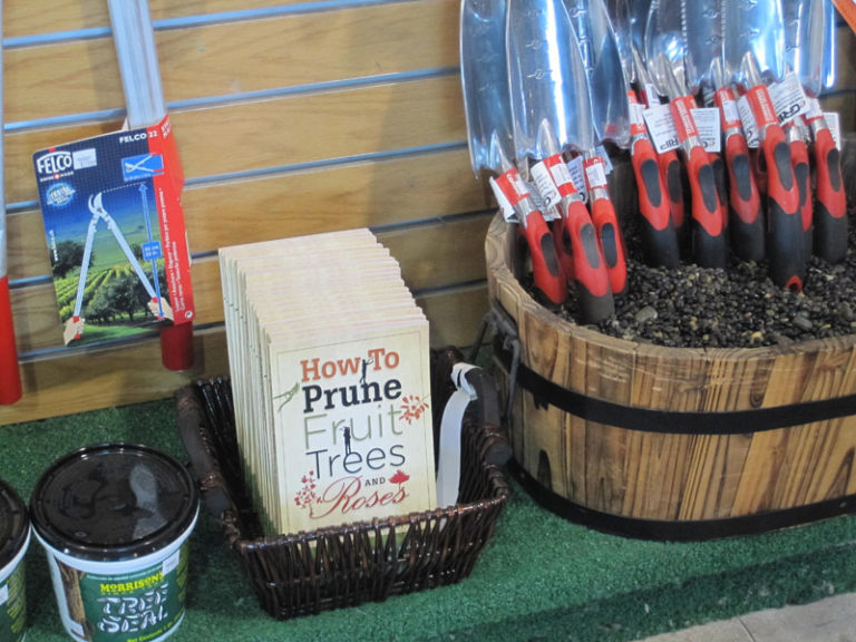 “How To Prune Fruit Trees” Now Back On Shelves Walter Andersen Nursery