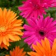 February Newsletter Available Online