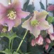 March Newsletter Available Online