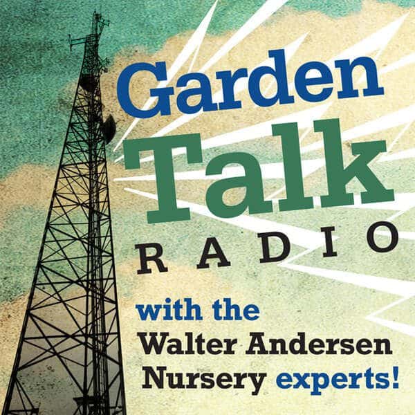 Episode 196 – 4/26/25